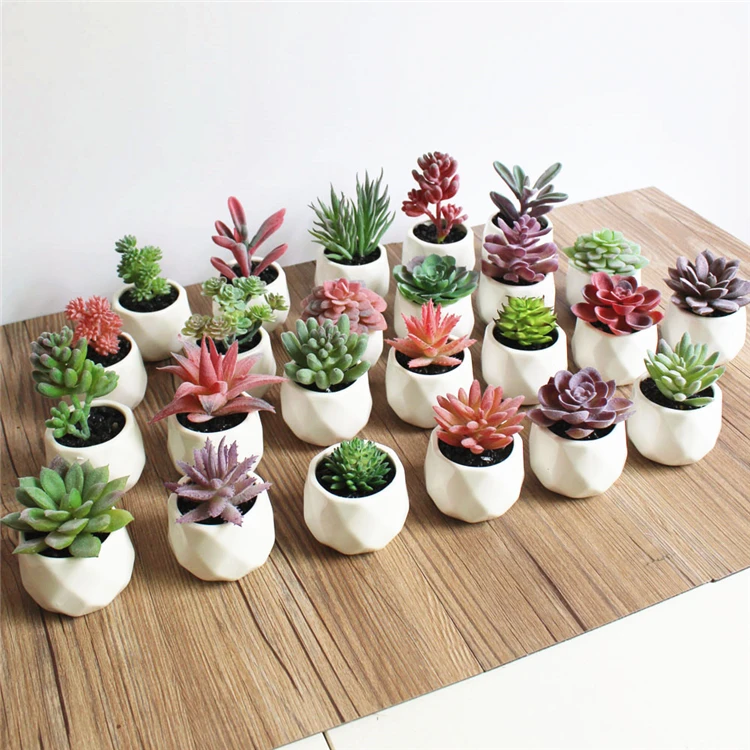 China Wholesale Small Size Artificial Plants Potted Succulents For Desk  Decoration - Buy Potted Succulents,Artificial Plants,Artificial Plants  Potted Succulents Product on 