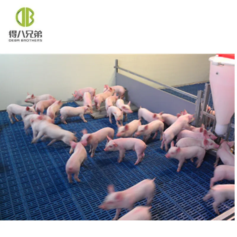 New Condition PVC Panel Weaning Crates Popular Warm-Keeper Pig Nursery Crates