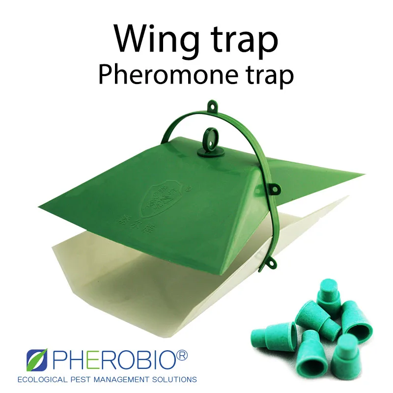 Приманка для риса Chilo suppressalis pheromone приманка