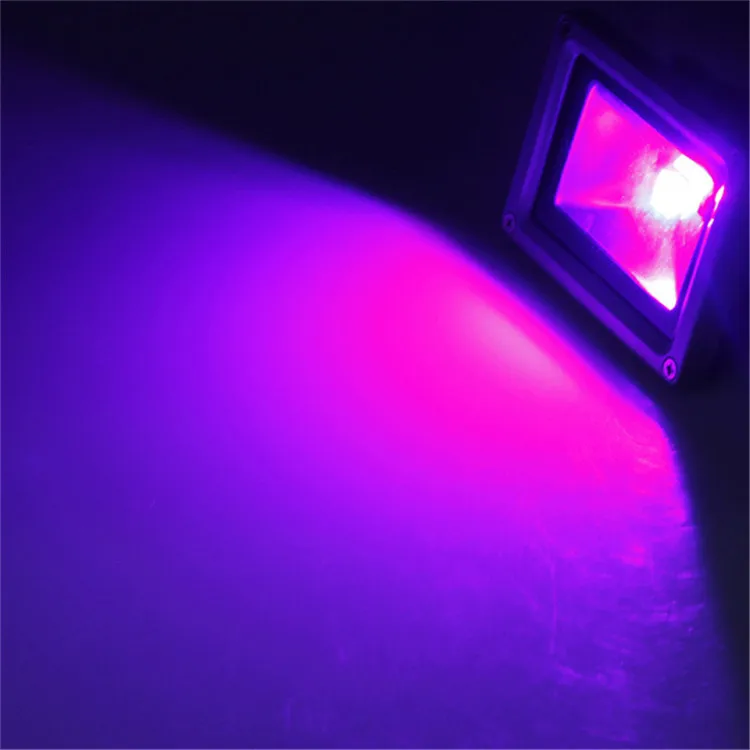 IP65 RGB украшения изменение цвета на 10 ватт Led прожектор