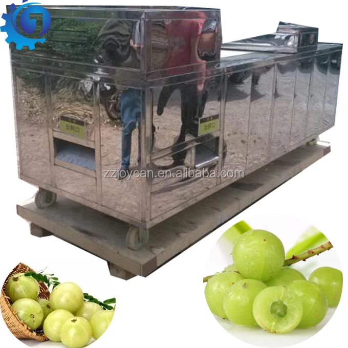 Hot Sale Olives Nuclear And Seed Remove Machine Olives Stone Extractor Olive Pit Extracting Machine Buy Olives Stone Extractor Olive Pit Extracting Machine Olives Go Nuclear Machine Product On Alibaba Com