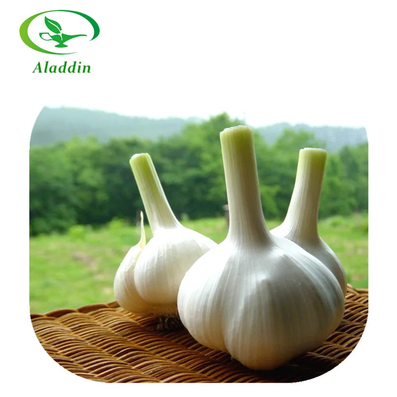 Чесночный порошок