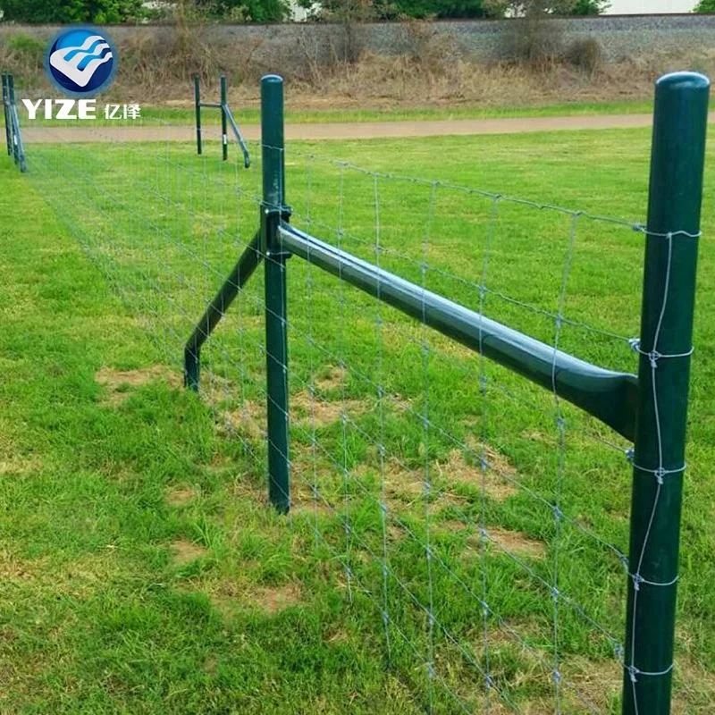 Angus Cattle Used Corral Panels Field Fence New Export to Australia Zealand  USA Pvc Coated Fencing