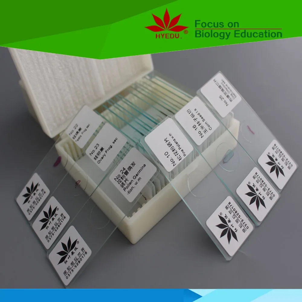 Индивидуальные недорогие слайды rotifer w m для приготовления микроскопа