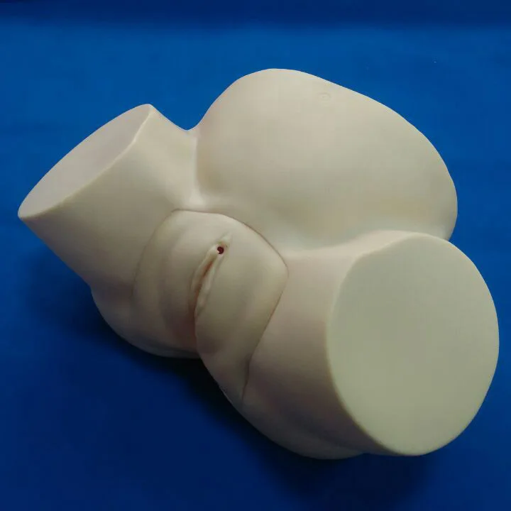 
Симулятор обучения научным уходу, механизм доставки, демонстрация обучения, высококачественная медицинская экстренная модель для беременных людей 