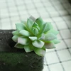 DR065 verde