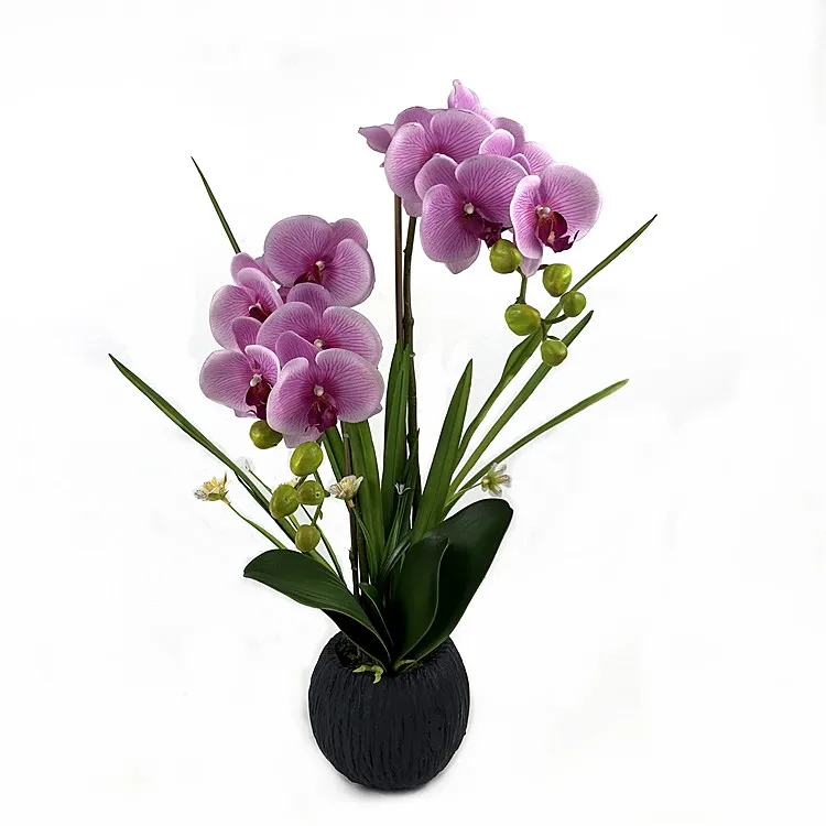 Venta Al Por Mayor Phalaenopsis Flor De La Orquídea De Alta Calidad Orquídea  Bonsai Artificial Phalaenopsis Orquídea De Tacto Real Flores - Buy Flor De  Orquídea,Orquídea Artificial,Flores De Tacto Real Product on