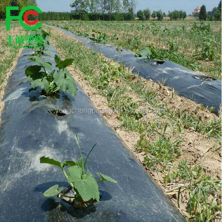 Factory Supply Plastic Mulch Layer for Plant ,agricultural Plastic Mulching Sheet,mulch Silver / Black for Sale Hot