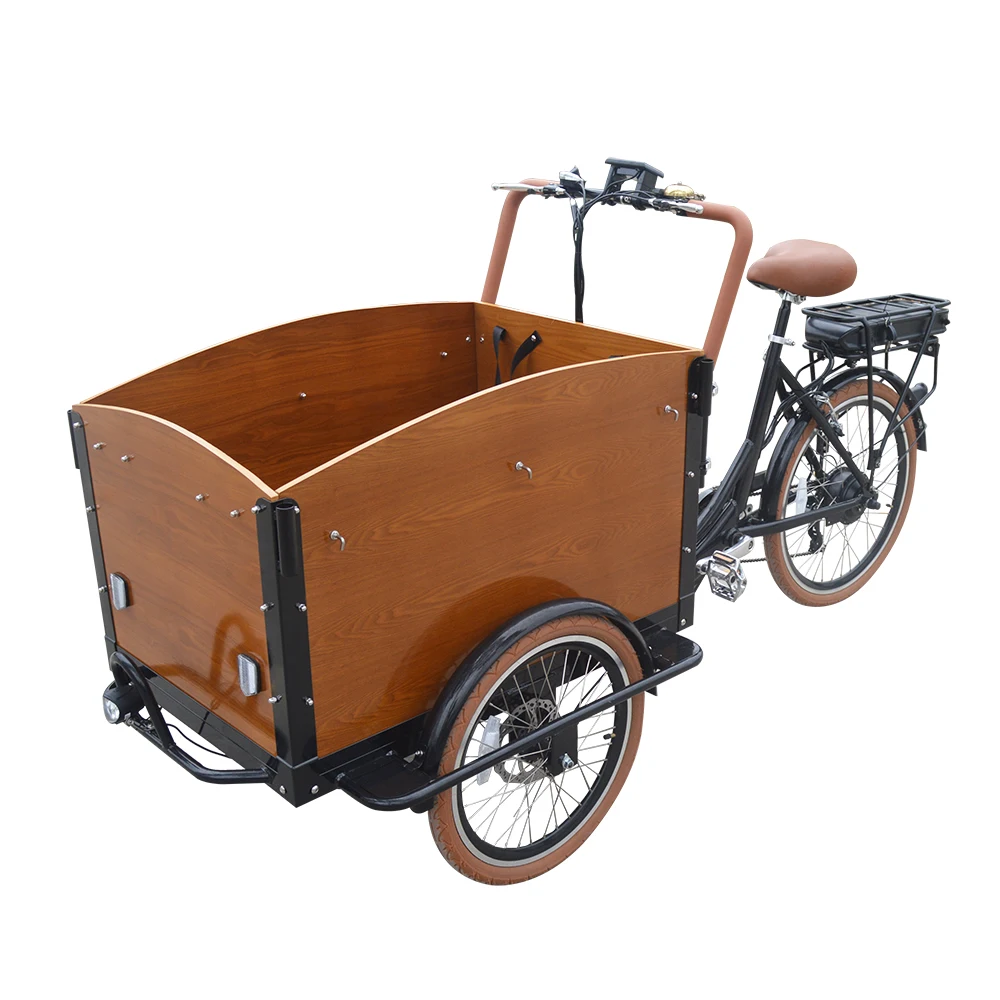 Children's Front Loading Electric Cargo Bike Gears
