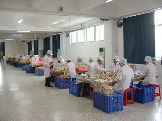 Shantou Yixin Food Co., Ltd. 2