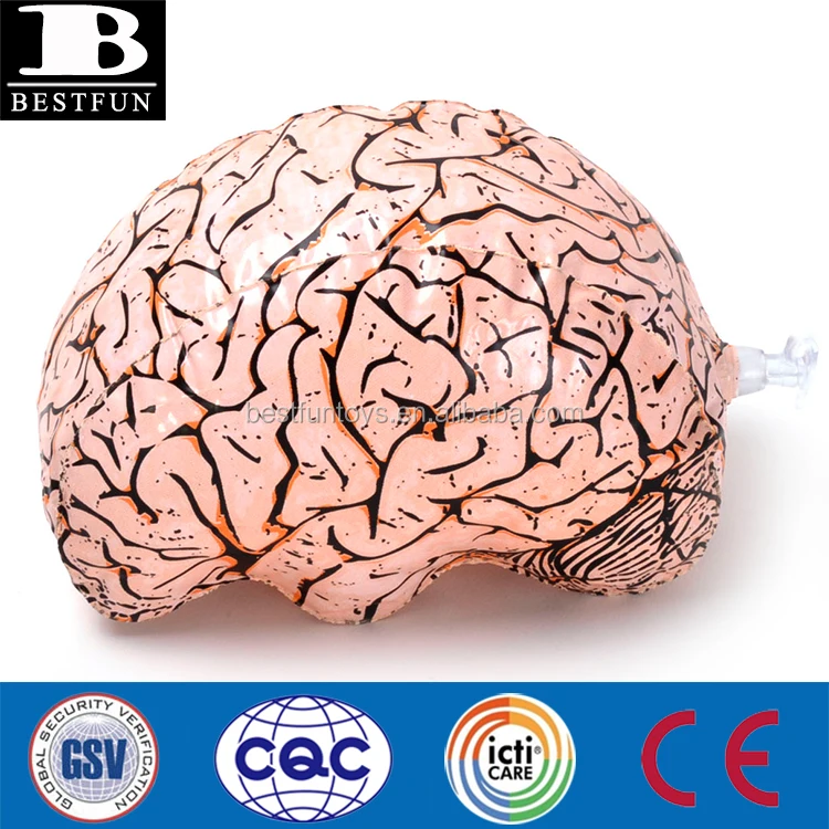 Inflatable hot sale brain toy