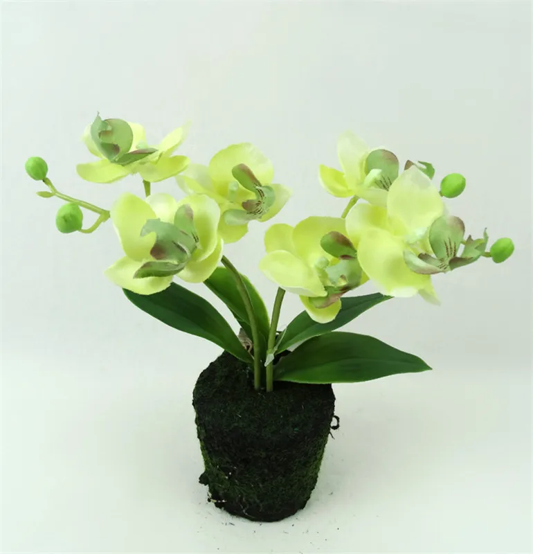 Grandes Flores Artificiais Mini Bonsai Orquídea,Em Vaso - Buy Grandes  Flores Artificiais,Mini Phalaenopsis Orquídea,Grandes Flores Artificiais No  Vaso Product on Alibaba.com