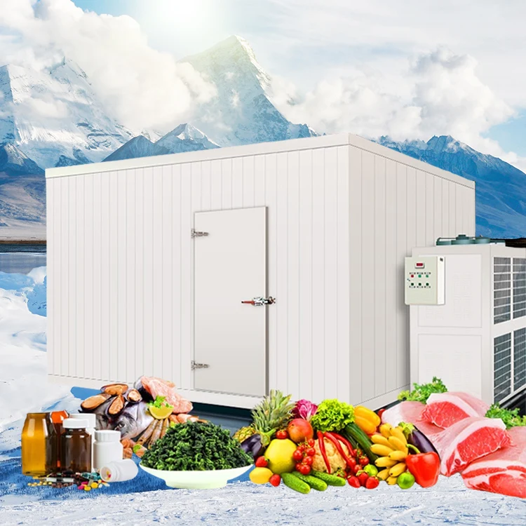 Small CBM Building Mini Cool Storage Room