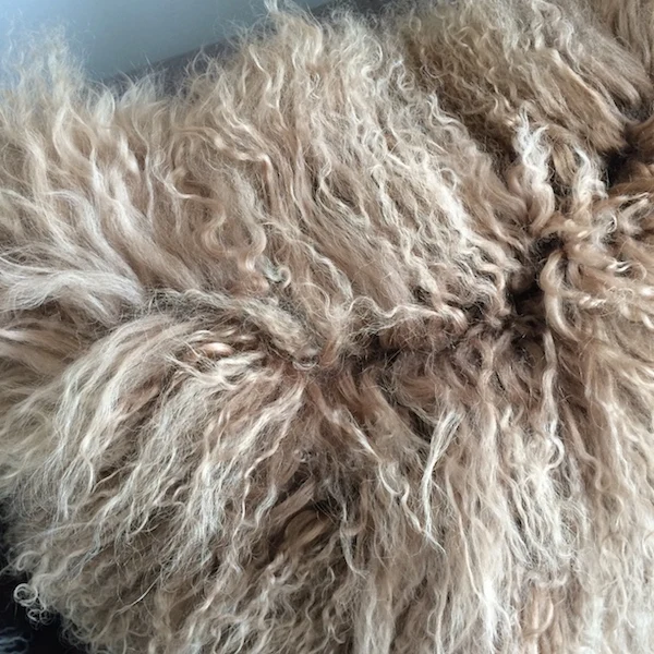 Blanc Housse de coussin 100 % fourrure de laine dagneau de Mongolie blanc 60*60cm