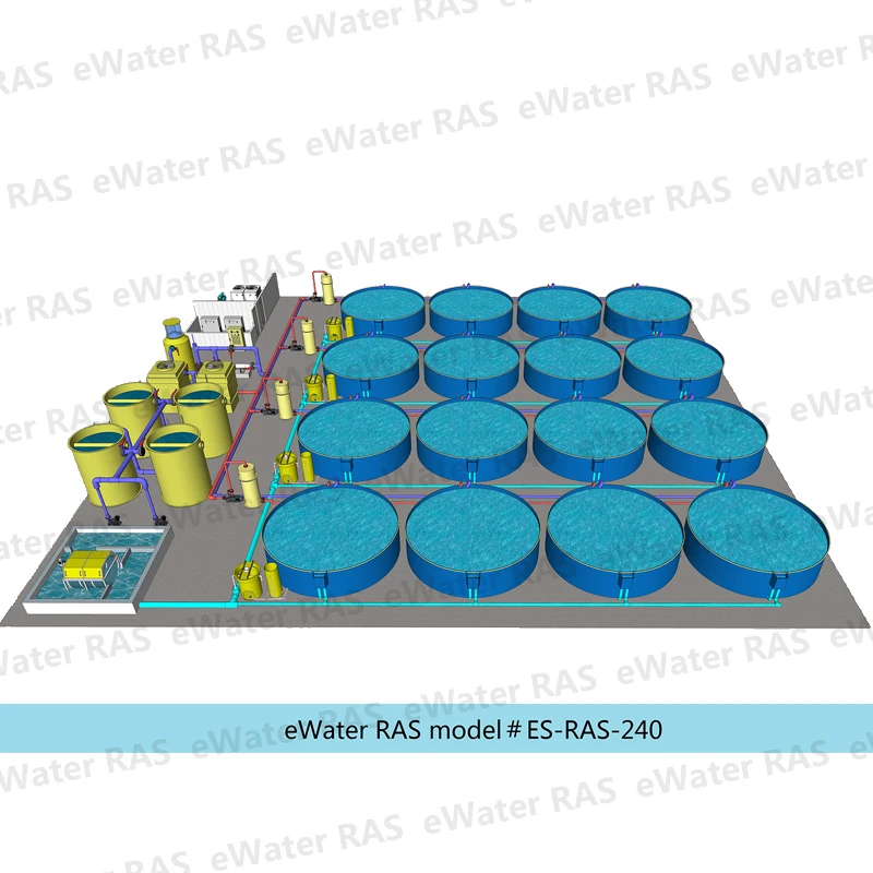 Circular Fish Farm with Tanks  for Commercial Fish Farm  Ras System Equipment Customize Indoor Ras Fish Farming