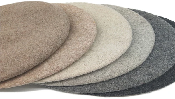 Специальное предложение, оптовая продажа, берет с вышивкой на заказ, однотонный шерстяной берет для женщин