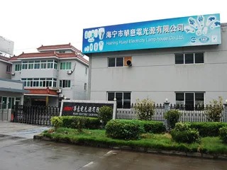 Haining Huayi Electric Lighting Co., Ltd.