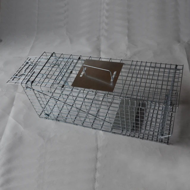 Rital Gros Chat Marmottes Furets Cage Piege Pour Animaux Capture Sauvage Chat Cage Piege Buy Piege A Cage D Animaux Vivants De Haute Qualite Piege A Cage Animai Vivant Cage A Piege A Ecureuil Product On