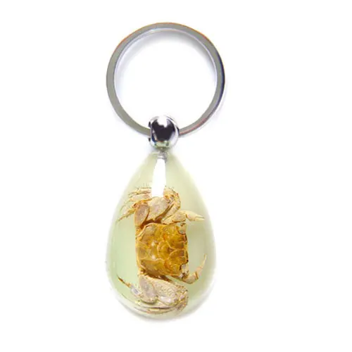Real Red Leg Scarab Beetle Insect Bugs Resin Specimen Waterdrop Keychain Various Choice Premium Gift