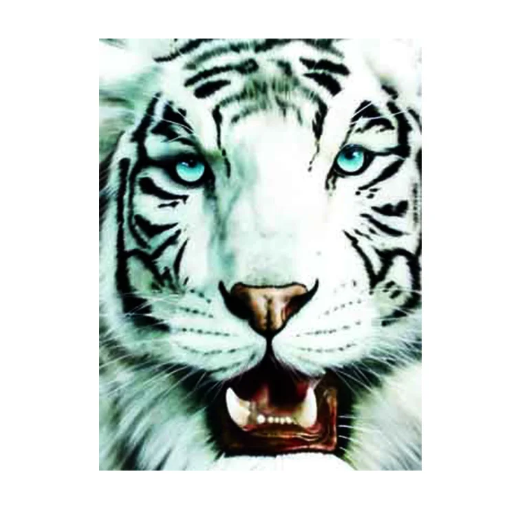 White Bengal Tiger - 3D Lenticular Postcard Greeting Card