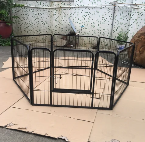 dog play fence