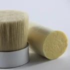Hot Sale Wall Painting Tools Boar Bristle Hair Brush PET Bristle Paint Brush