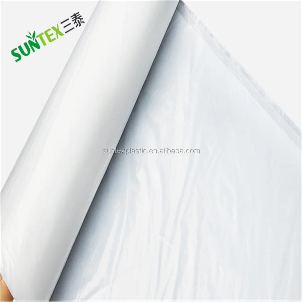 Film De Serre 6x5m - Transparent Et Résistant Aux UV - Épaisseur 0,200mm - Protection 5 Ans