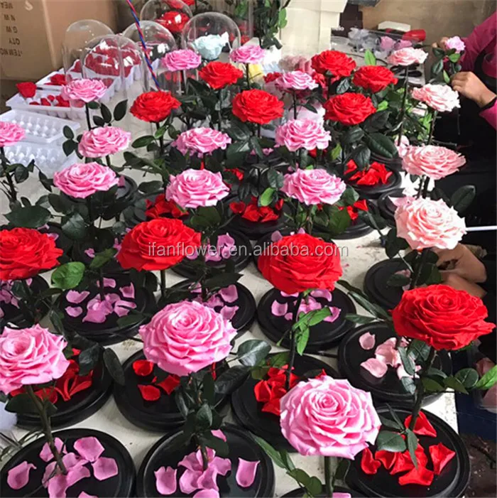 Japan Rose Real Eternal Rose Diy Preserved Rose Flower With Stems Buy Preserved Roses,Eternal