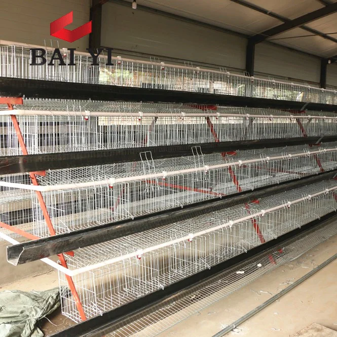 Farkli Turde Tel Orgu Yumurta Tavuk Kafesleri Zemin Satis Kenya Katmanlar Buy Tavuk Kafesi Zemin Kenya Katmanlari Icin Tel Orgu Tavuk Kafesleri Satisi Farkli Turleri Tavuk Yumurta Doseme Kafesi Product On Alibaba Com Farkli Turde Tel Orgu Yumurta Tavuk Kafesleri Zemin Satis Kenya Katmanlar Buy Tavuk Kafesi Zemin Kenya Katmanlari Icin Tel Orgu Tavuk Kafesleri Satisi Farkli Turleri Tavuk Yumurta Doseme Kafesi Product On Alibaba Com
