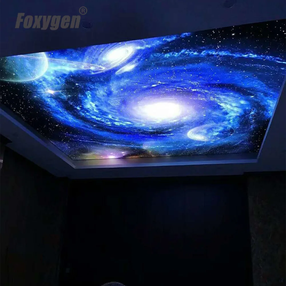 Bed Room Ceiling Decor Night Sky With Star Designs Led Fiber Optic