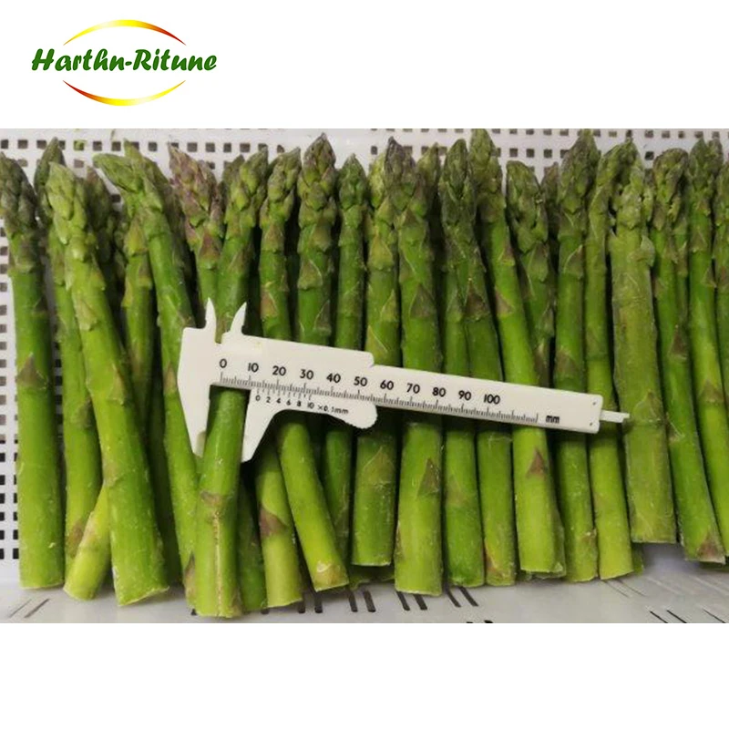 High Quality IQF Frozen Fresh Asparagus Frozen Vegetables for Wholesale 10kg Per Carton