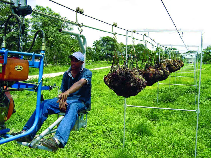 Galvanized Cableway Trolley Roller for Banana Farm, Hanger Banana Roller with Two 64mm Wheels