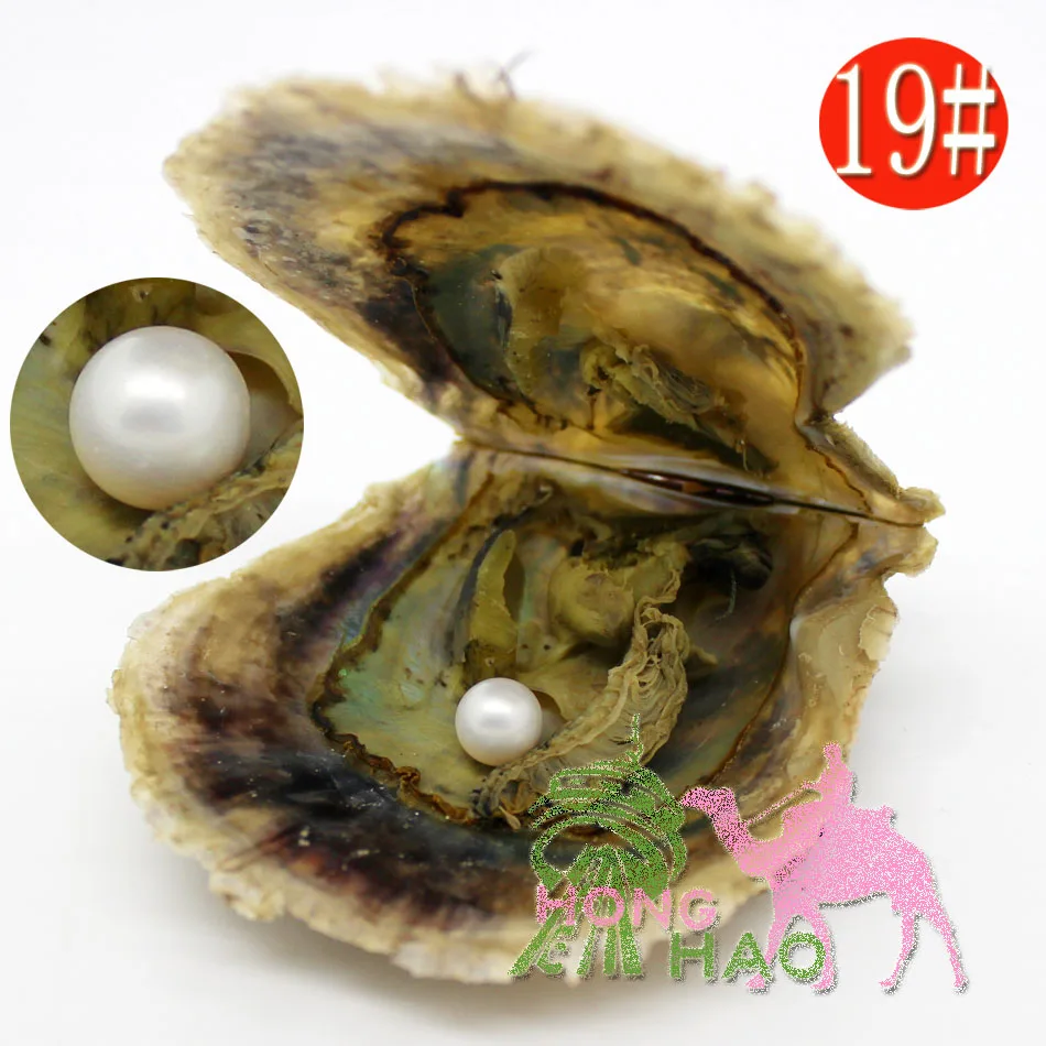 Bulk Natural Oyster Pearls – Round & Oval Cultured Beads 6-8mm (Vacuum Pack)