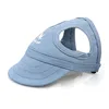 Chapeau de chien bleu