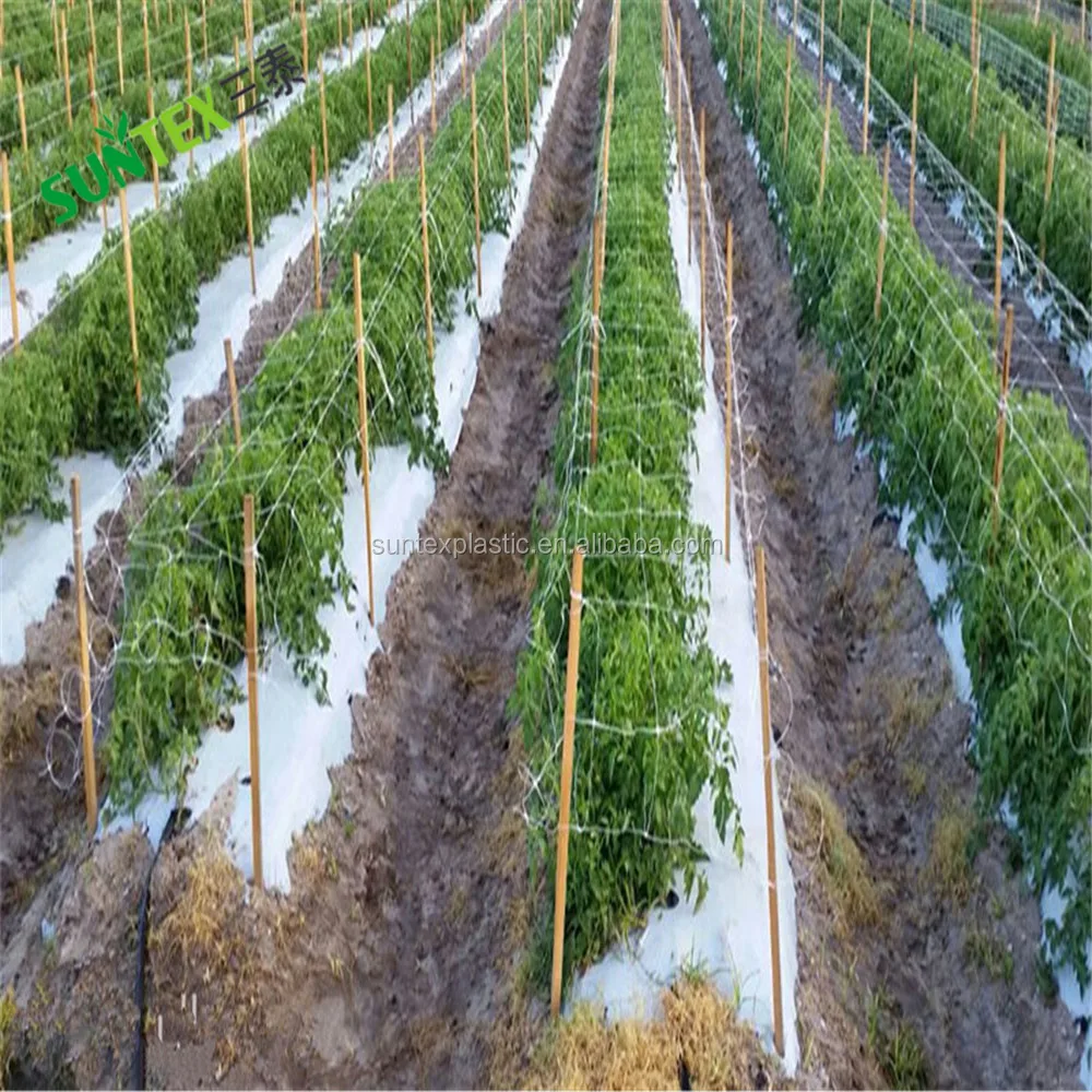 Red De Jardín, Red Para Pájaros Para Jardín Y Plantas Red De | Cuotas