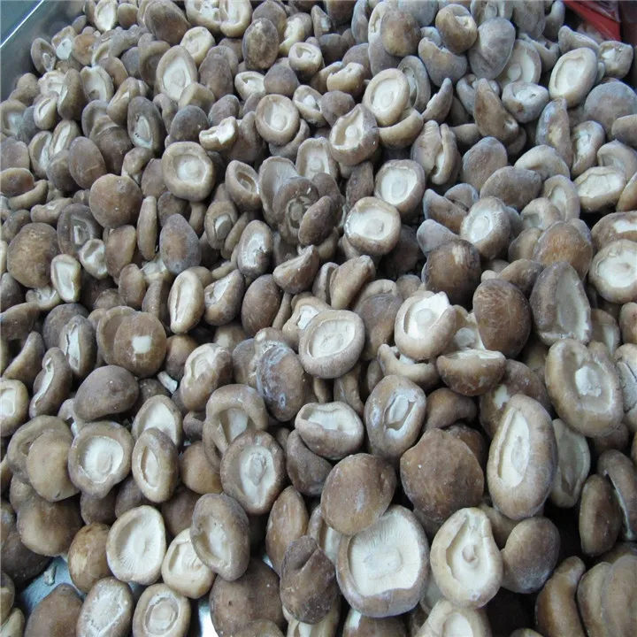 Export Top Grade IQF Frozen Shiitake Mushroom With Competitive Price