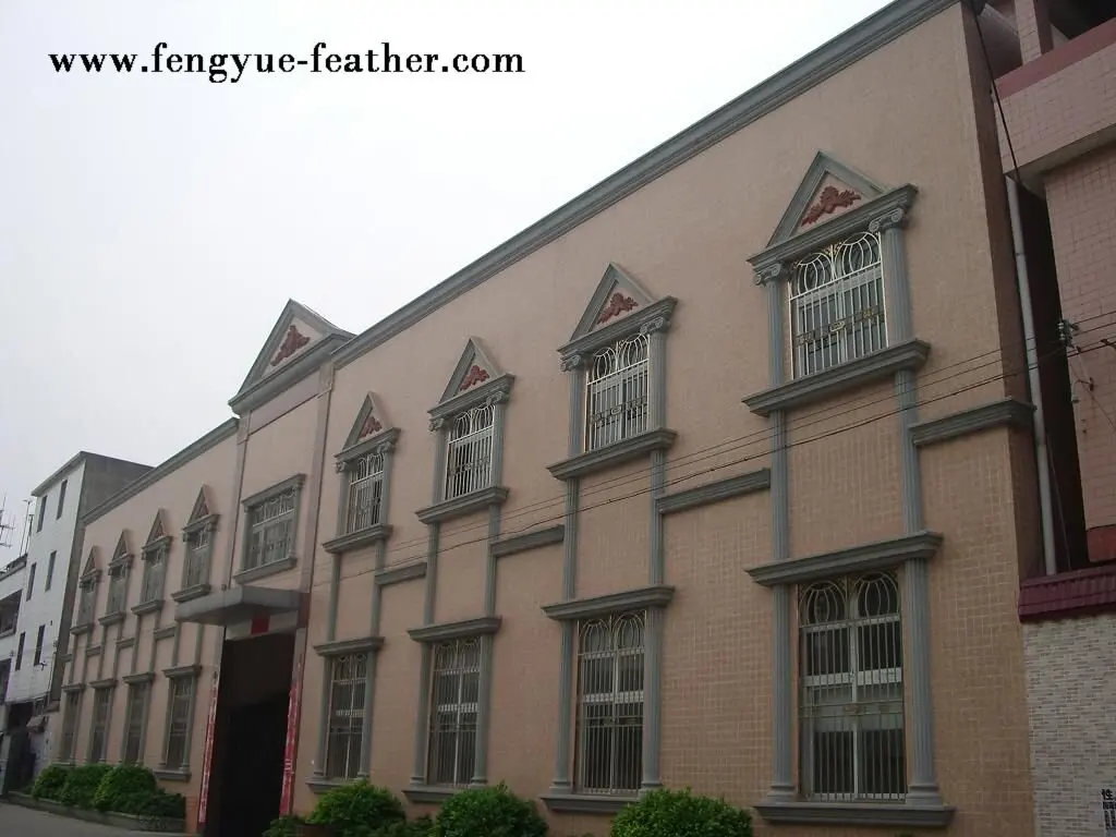 Guangzhou Boya Feather Accouterment Limited Company 1