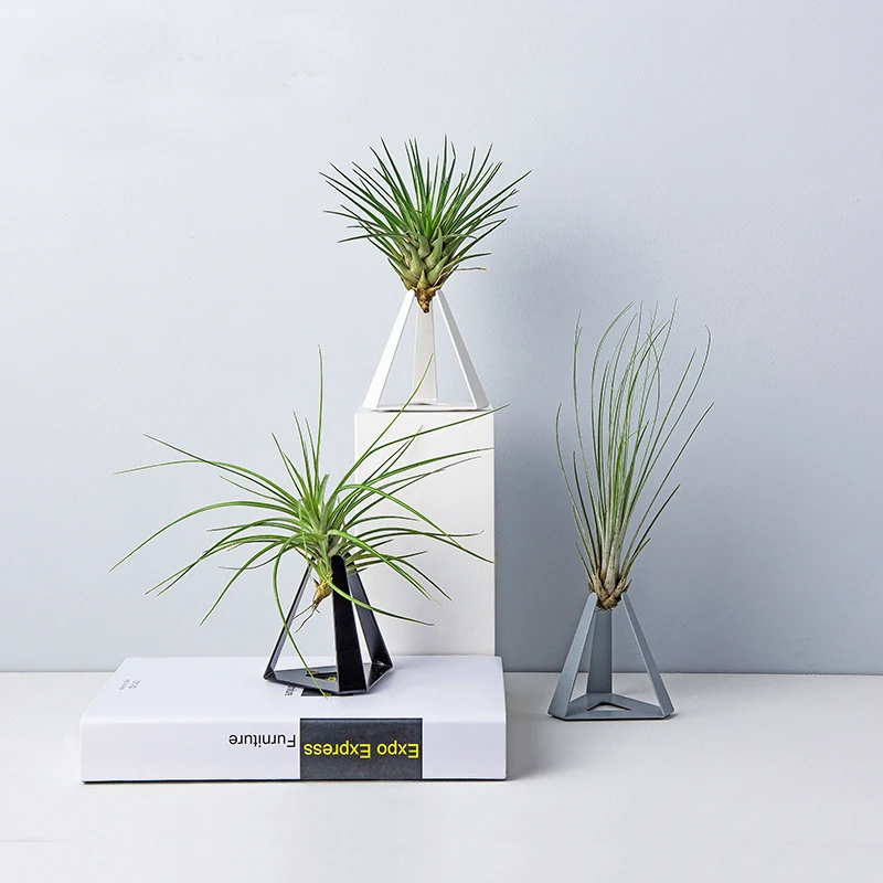 铁迷你室内植物支架空气支架基地空凤凰小植物盆栽花架 Buy 金属植物花盆花架 室内锻铁植物支架 锻铁植物花盆支架product On Alibaba Com