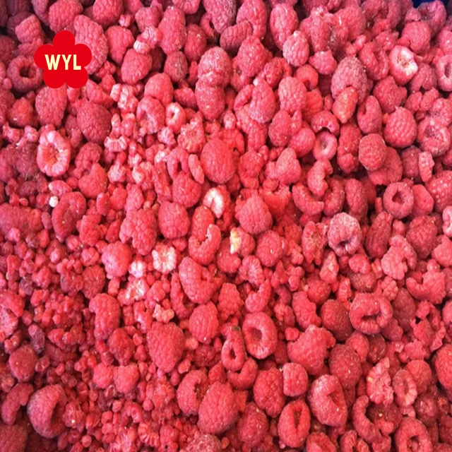 High Quality New Crop IQF Frozen Raspberries Water Preserved Raspberry Fruit for Wholesale and Retail in Bulk supplier