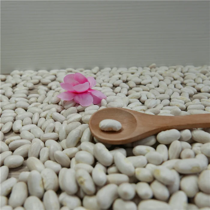 Wholesale China Natural Plant Pure Baishake White Kidney Bean - Main Image