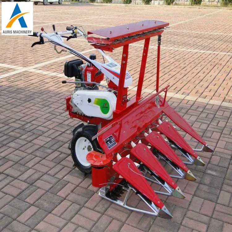 Мелкая рисовая пшеница, зерно, тростник, мокурузный жнец, машина для уборки, для продажи