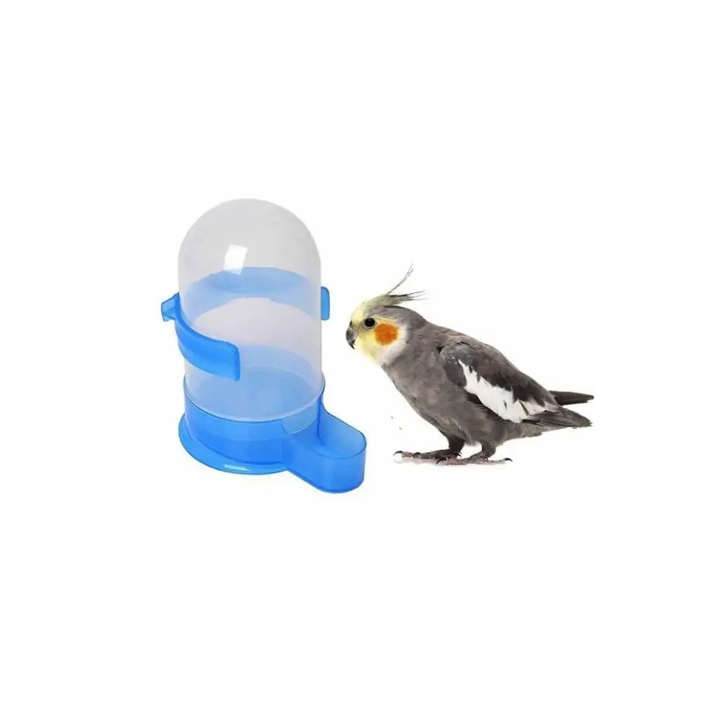 Bebedero Para Loros Comedero Para Palomas Buy Bebedor De Loro Bebedor De Aves Alimentador De Palomas Product On Alibaba Com