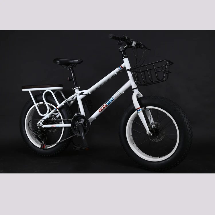 Cheap Portable Bike 20 Inch Kids Bike 
