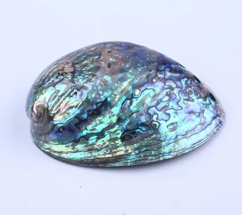 HTB1PJOxM7voK1RjSZFwq6AiCFXaH.