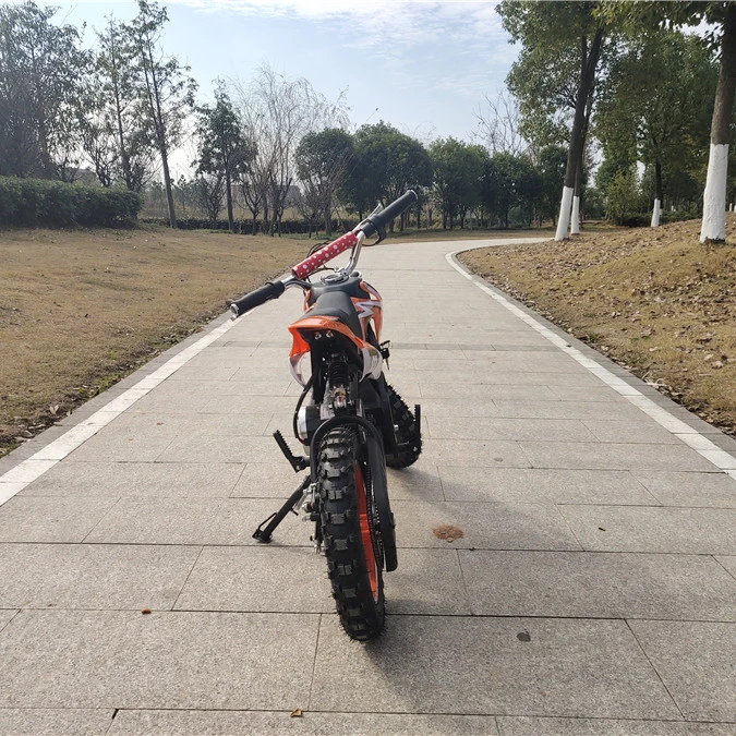 Mini Bike 800w