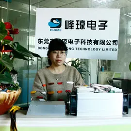 Dongguan Fujong Technology Limited