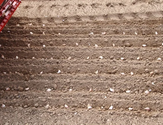 product-1-1 product-1-1