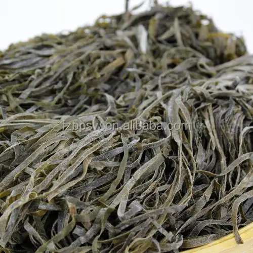 Dried Kelp Cut Laminaria Japonica Edible Sargassum Seaweed Food Grade Buy Kelp Laminaria Japonica Extract For Human Dried Laminaria Product On Alibaba Com