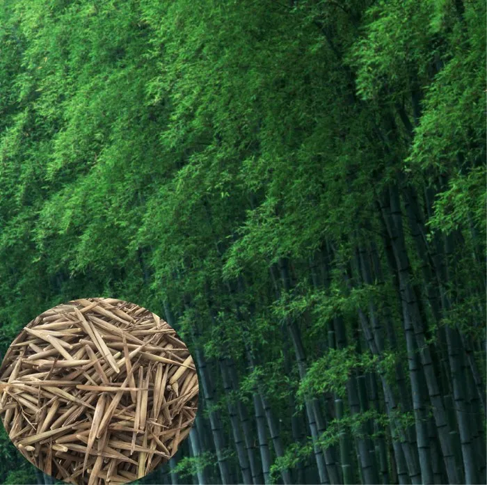 Mao zhu 100 % Quality Top Brand high yield giant moso bamboo seeds