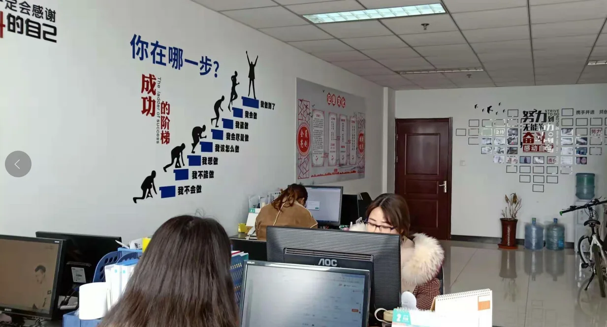 Hebei Leyou Bicycle Co., Ltd. 3